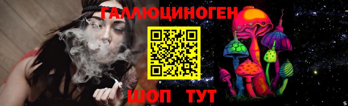 Псилоцибиновые грибы мицелий Домодедово